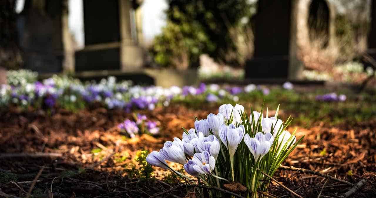 Can Tarot Cards Predict Death?