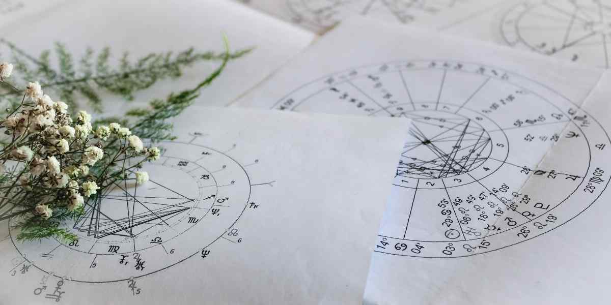 How to Read a Synastry Chart! The Big Questions Answered