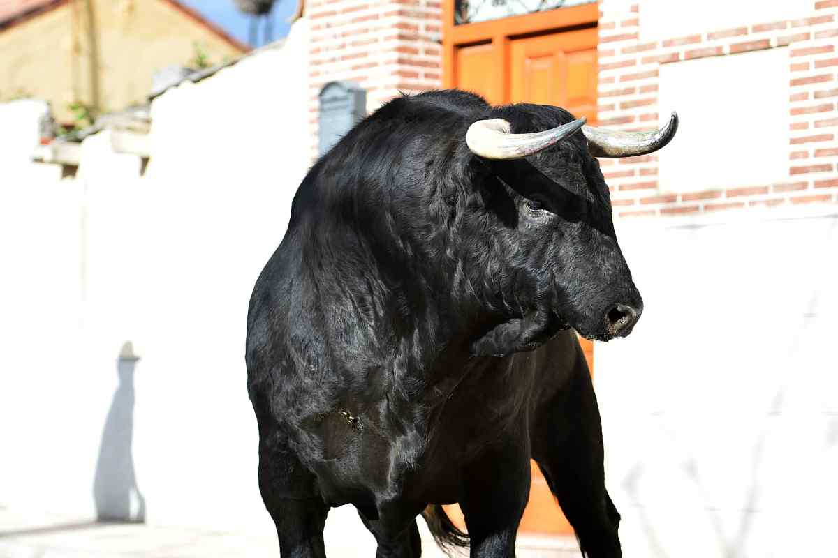 7 Taurus Spirit Animals That You Should Know About!