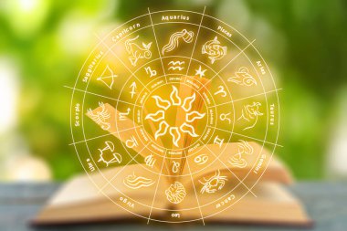 Difference Between Aquarius Sun and Aquarius Rising: Key Traits Explained